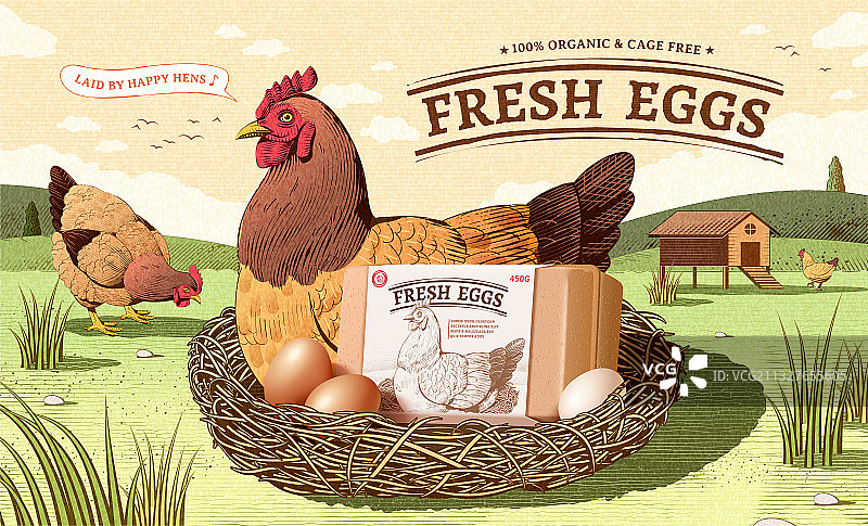 农家鸡蛋复古广告 母鸡孵蛋刻蚀风格横幅图片素材