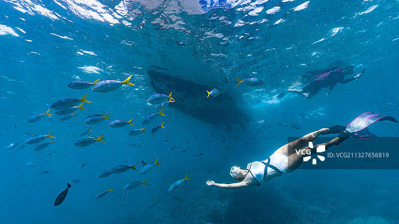 子非鱼 焉知鱼之乐图片素材