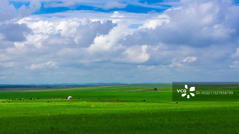 大美中国-内蒙牧场图片素材