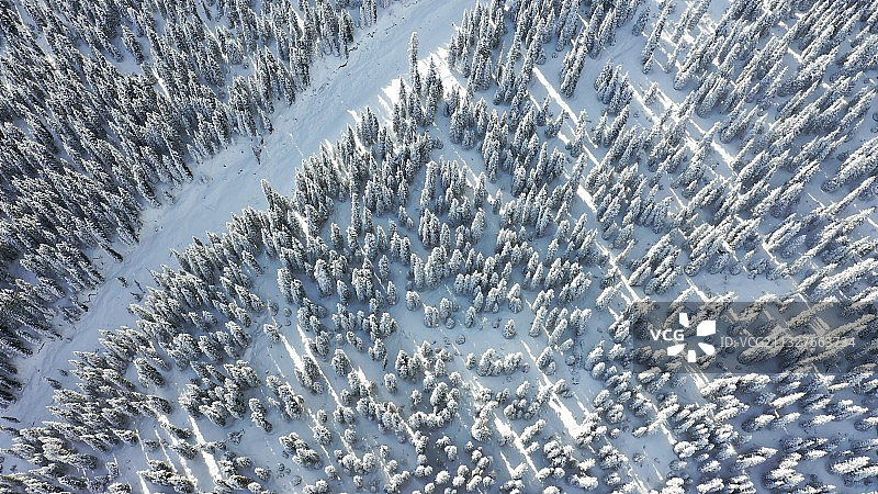 林海冬季图片素材