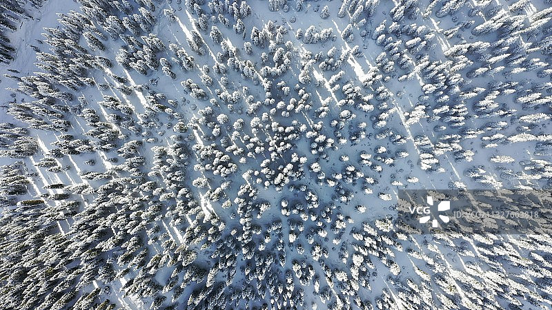 林海冬季图片素材