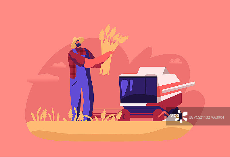 面粉厂工人收割小麦图片素材