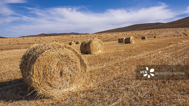 草原丰收图片素材