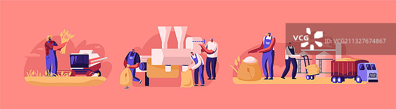 人物生产面粉概念小麦图片素材