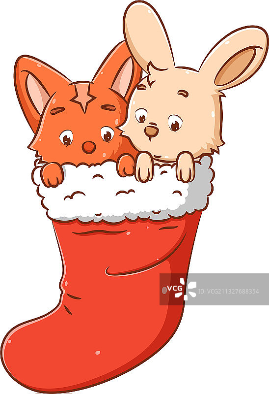 兔子和猫取暖。图片素材