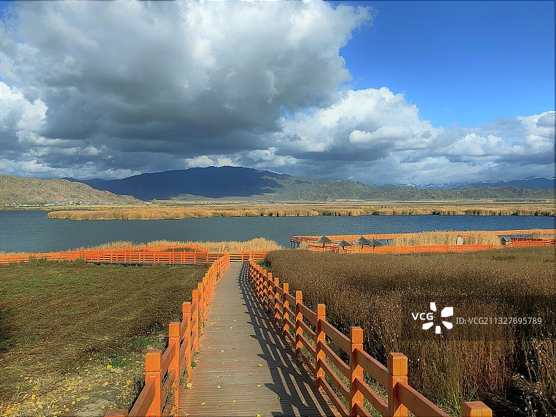 新疆 可可苏里的深秋图片素材