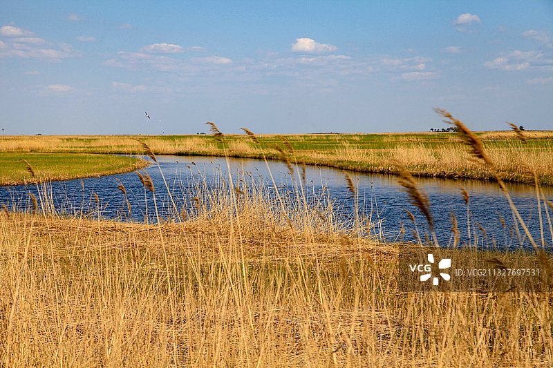 黑龙江齐齐哈尔扎龙自然保护区图片素材