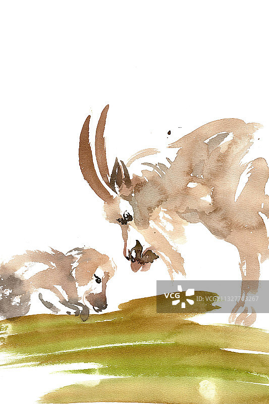 母羊与小羊图片素材