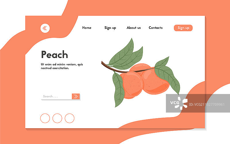 完整的、切片的和半切片的成熟桃子图片素材