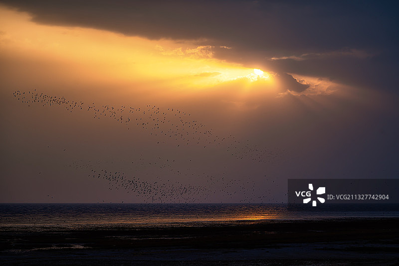 海岸霞光图片素材