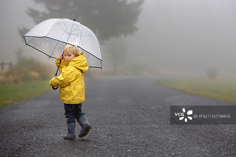 可爱的金发幼儿男孩在雾蒙蒙的秋日雨中玩耍图片素材