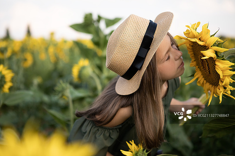 向日葵田里的女人，乌克兰图片素材