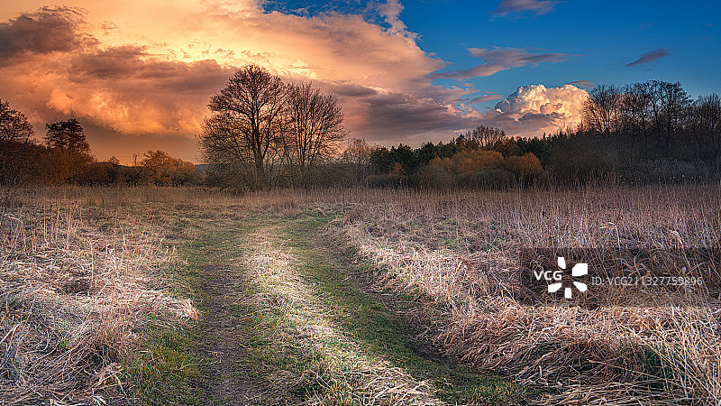 波兰凯尔采日落田野风光图片素材