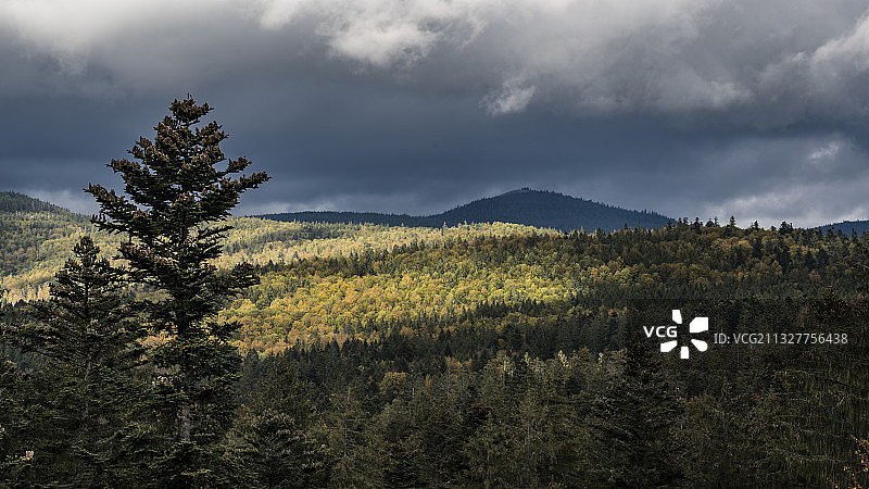 德国拜仁森林风光图片素材