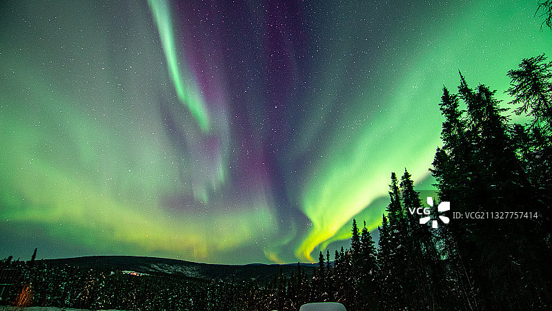 阿拉斯加费尔班克斯夜空中的北极光低角度景观图片素材