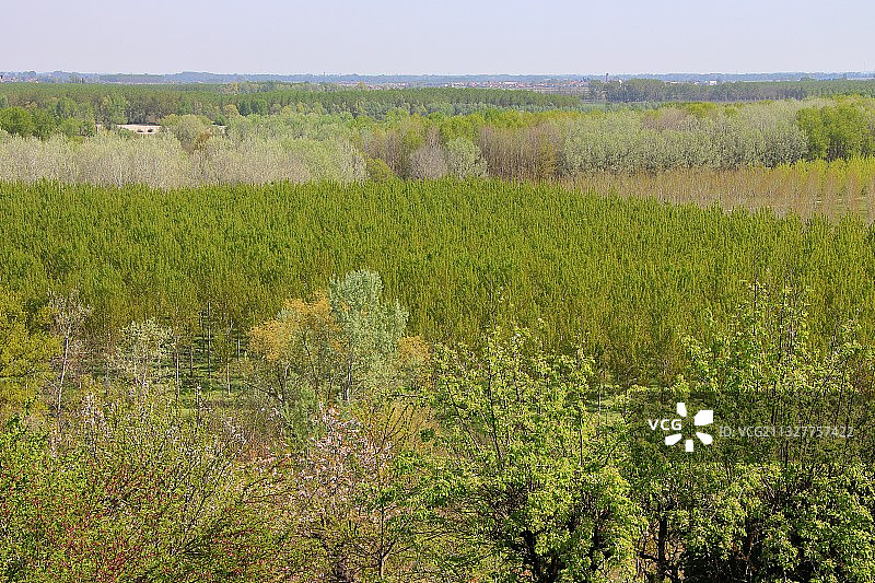 意大利亚历山德里亚省瓦伦扎的田野风光图片素材