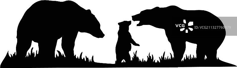 熊与幼熊森林景观野生动物图片素材