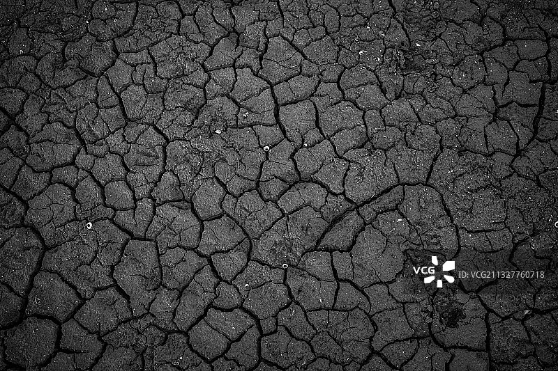 龟裂的土地特写镜头图片素材