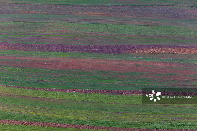 农田的全画幅照片图片素材