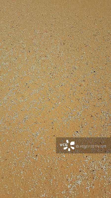 阿尔及利亚的沙子完整画面图片素材