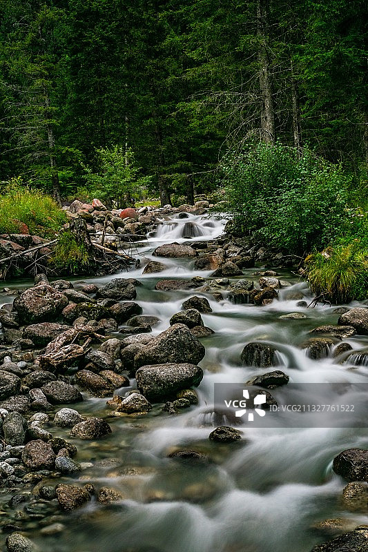 森林中的溪流风光图片素材