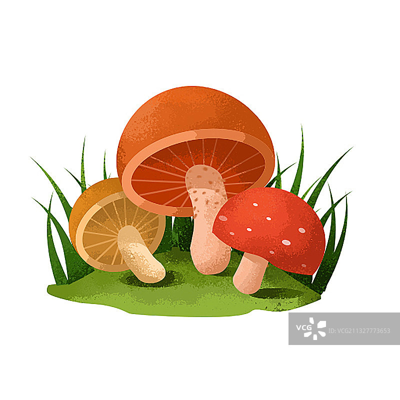 植物元素素材图片素材