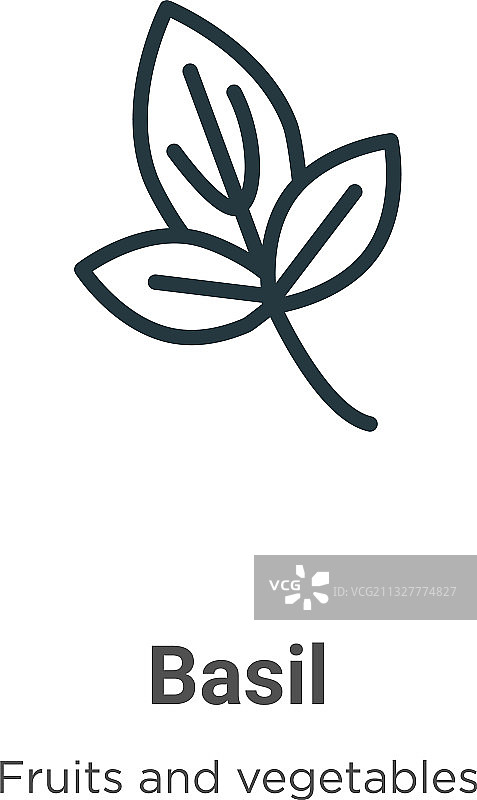 罗勒轮廓图标细线黑色罗勒图标图片素材