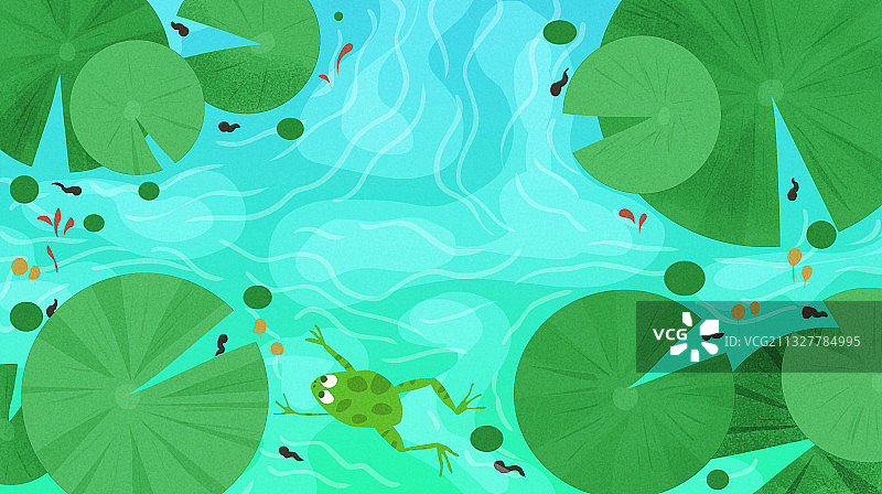 池塘风景图片素材