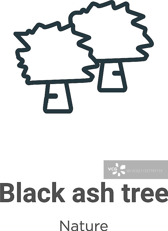黑色白蜡树轮廓图标细线设计图片素材