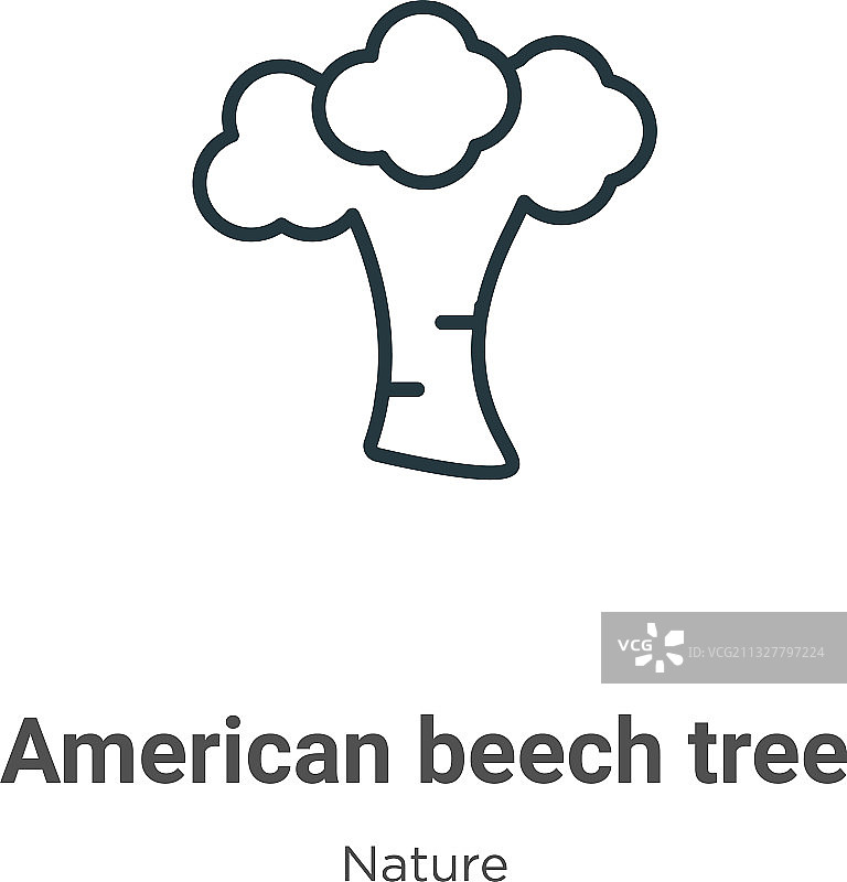美国山毛榉树轮廓图标黑色细线图片素材