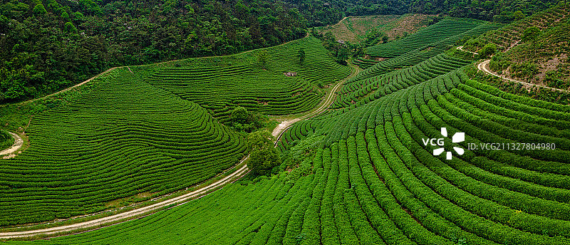 云湖茶博园景区 无锡图片素材