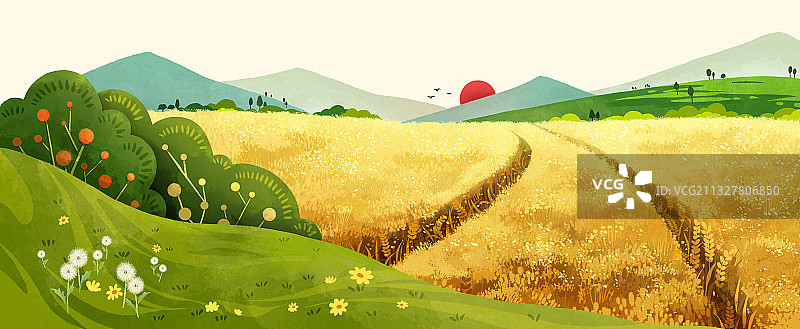 二十四节气之芒种图片素材