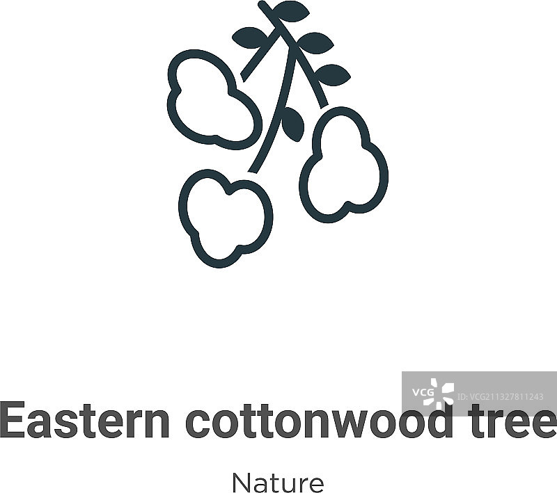 东部白杨树轮廓细线图标图片素材
