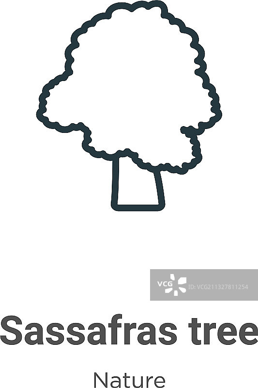 白樟树轮廓细线黑色图标图片素材