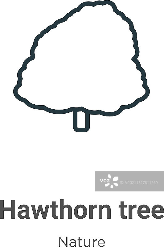 山楂树轮廓图标细黑线图片素材