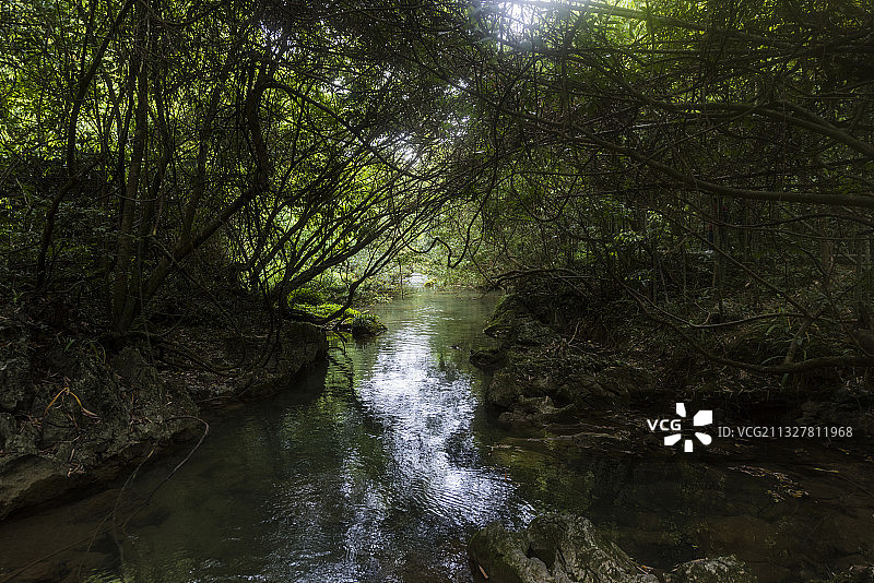 贵州黔西南州荔波县小七孔树林中的溪流图片素材