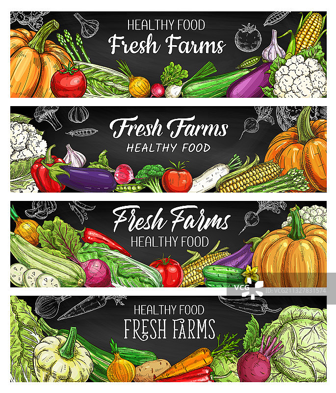蔬菜农场食品粉笔素描横幅图片素材
