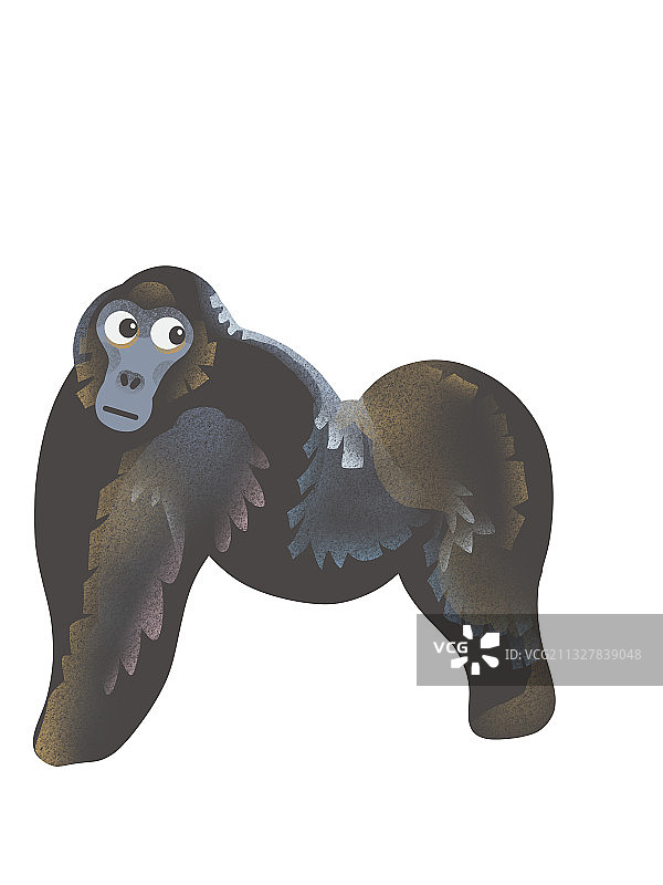 黑猩猩图片素材