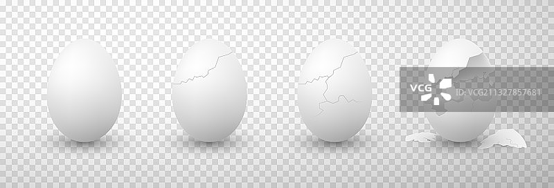 完整的、破裂的、正在孵化的鸡蛋图片素材
