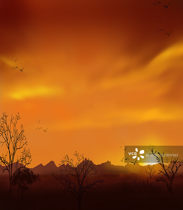 非洲草原的傍晚图片素材