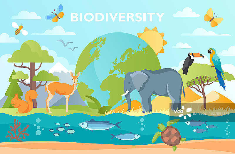 生物多样性与自然野生动物图片素材