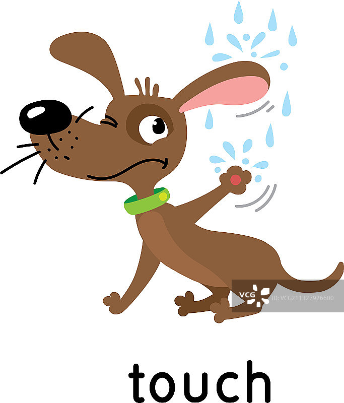 小狗与雨滴：五感触碰图片素材