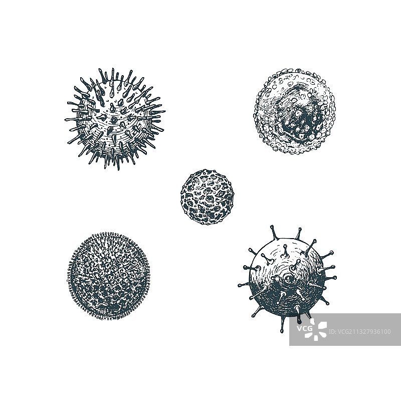 冠状病毒病毒类型集图像图片素材