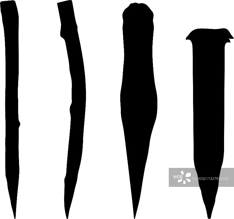 白杨木桩图片素材