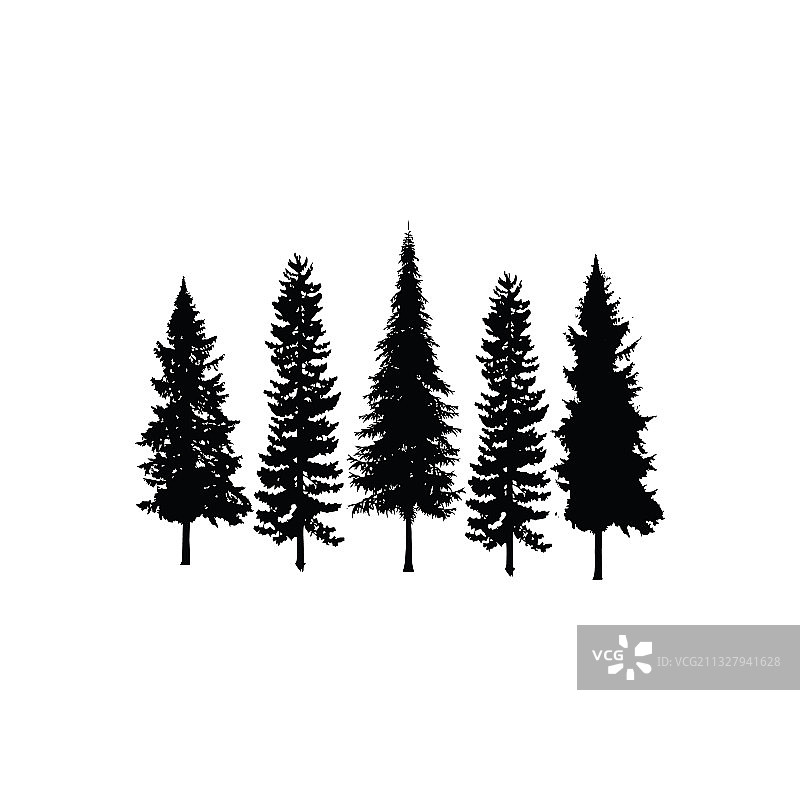 针叶雪松柏树合集图片素材