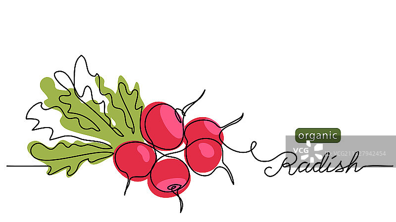 一捆红萝卜图片素材