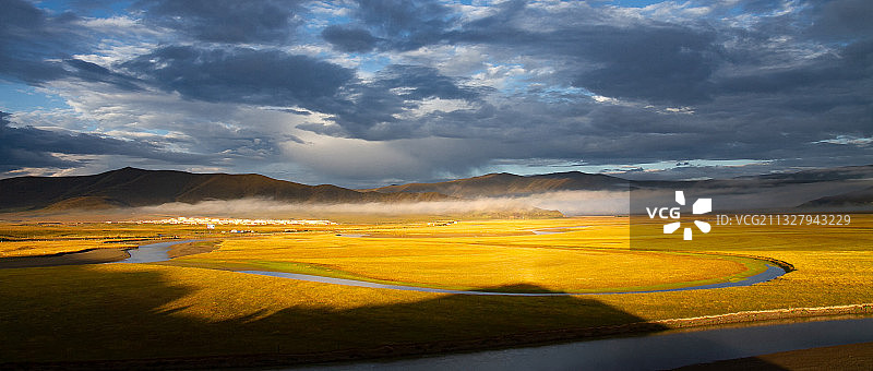 金色大草原图片素材