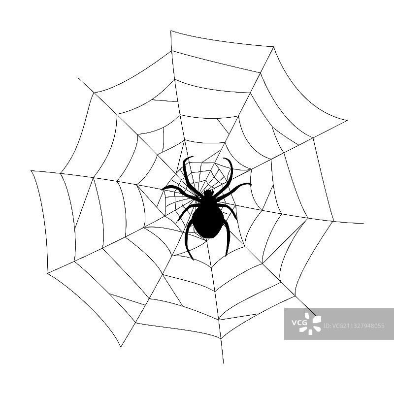 黑色蜘蛛和蜘蛛网轮廓图片素材