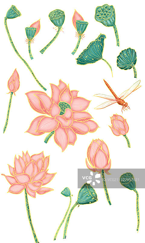 寻味潮汕-海鲜粥图片素材