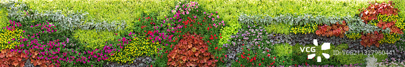 植物园布置的花卉植物墙长廊图片素材
